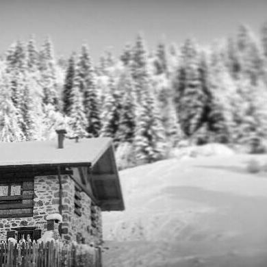 Chalet Lagorai Roncegno エクステリア 写真